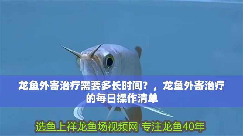 龍魚(yú)外寄治療需要多長(zhǎng)時(shí)間？，龍魚(yú)外寄治療的每日操作清單 龍魚(yú)外寄治療需要多長(zhǎng)時(shí)間？，龍魚(yú)外寄治療的每日操作清單 龍魚(yú)百科