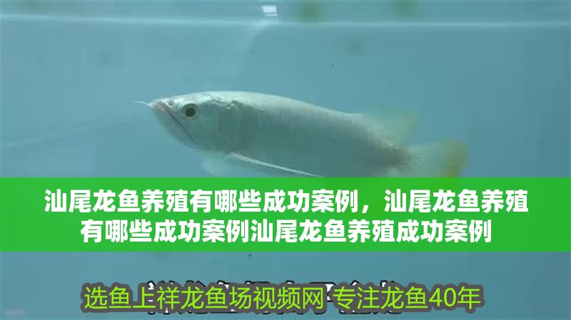 <strong><mark>汕尾</mark></strong>龍魚養(yǎng)殖有哪些成功案例，<strong><mark>汕尾</mark></strong>龍魚養(yǎng)殖有哪些成功案例<strong><mark>汕尾</mark></strong>龍魚養(yǎng)殖成功案例