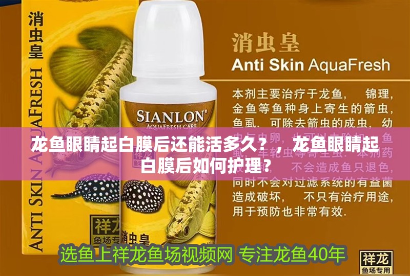 龍魚眼睛起白膜后還能活多久？，龍魚眼睛起白膜后如何護理？