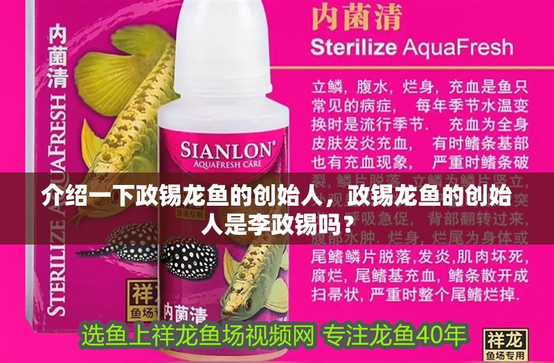 介紹一下政錫龍魚的創(chuàng)始人，政錫龍魚的創(chuàng)始人是李政錫嗎？