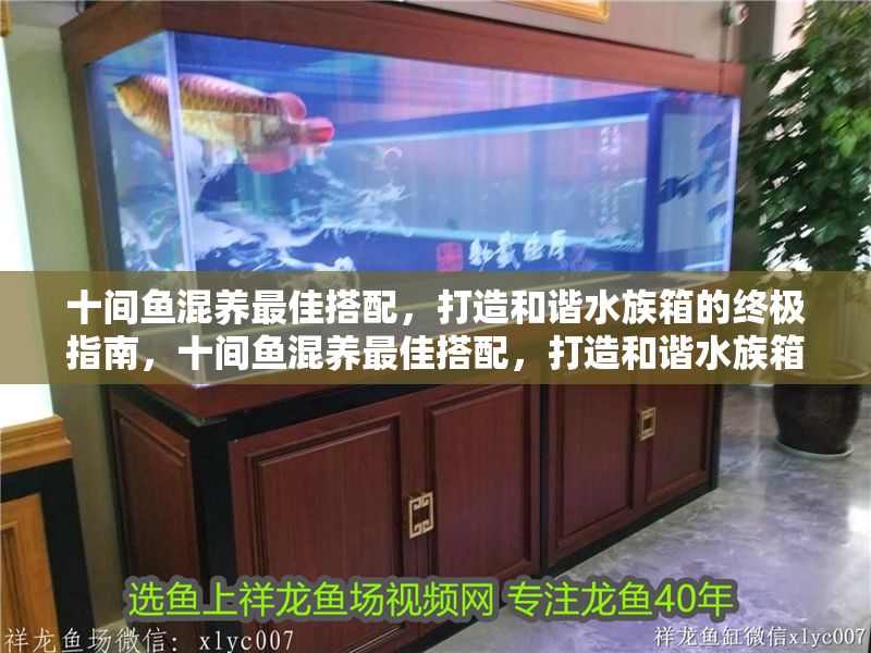 十間魚混養最佳搭配，打造和諧水族箱的終極指南，十間魚混養最佳搭配，打造和諧水族箱的終極指南