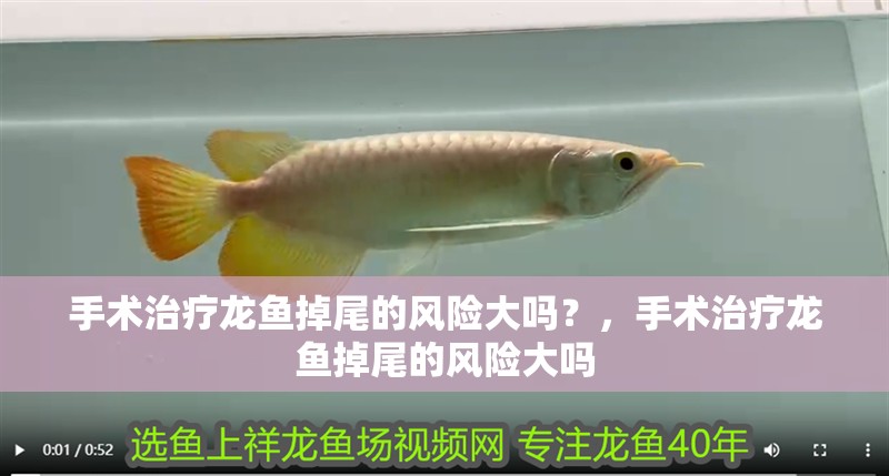 手術治療龍魚掉尾的風險大嗎？，手術治療龍魚掉尾的風險大嗎