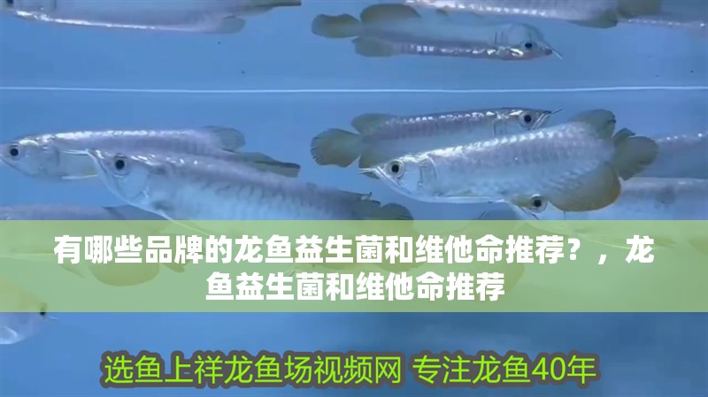 有哪些品牌的龍魚益生菌和維他命推薦？，龍魚益生菌和維他命推薦