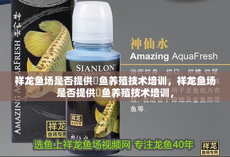 祥龍魚場(chǎng)是否提供魟魚養(yǎng)殖技術(shù)培訓(xùn)，祥龍魚場(chǎng)是否提供魟魚養(yǎng)殖技術(shù)培訓(xùn)，