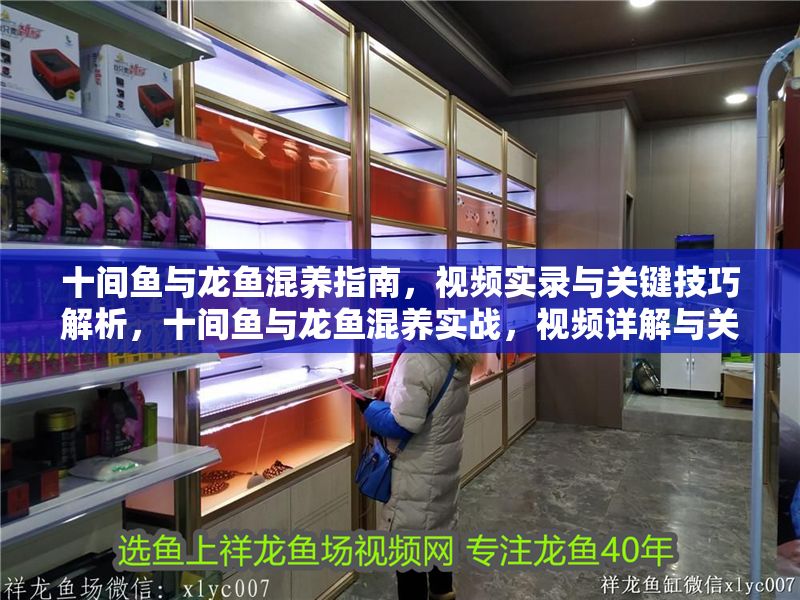 十間魚與龍魚混養指南，視頻實錄與關鍵技巧解析，十間魚與龍魚混養實戰，視頻詳解與關鍵技巧分享 十間魚與龍魚混養指南，視頻實錄與關鍵技巧解析，十間魚與龍魚混養實戰，視頻詳解與關鍵技巧分享 龍魚百科 第1張