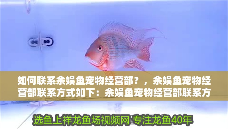如何聯系余娛魚寵物經營部？，余娛魚寵物經營部聯系方式如下：余娛魚寵物經營部聯系方式