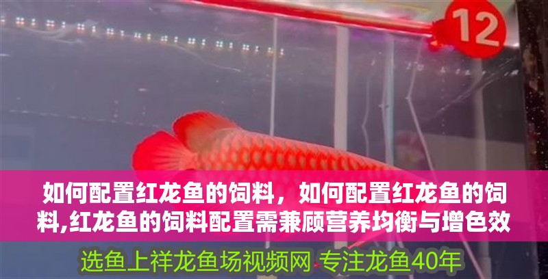 如何配置紅龍魚的飼料，如何配置紅龍魚的飼料,紅龍魚的飼料配置需兼顧營養(yǎng)均衡與增色效果