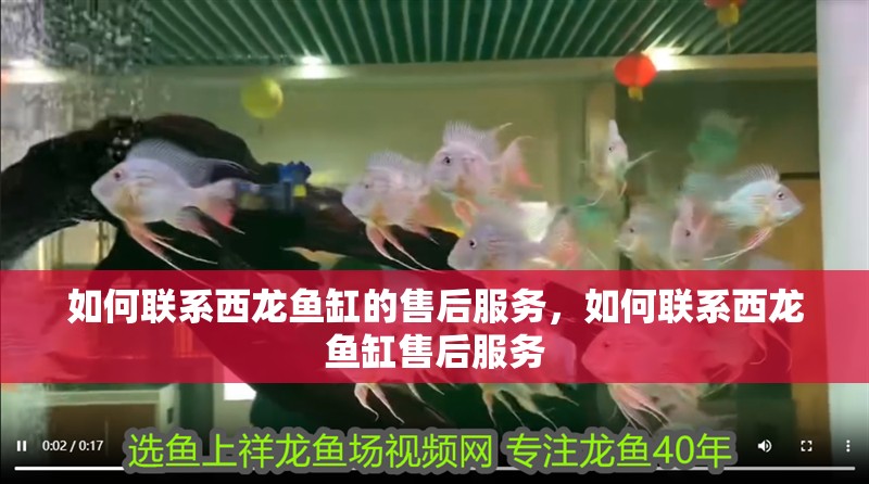 如何聯系西龍魚缸的售后服務，如何聯系西龍魚缸售后服務 如何聯系西龍魚缸的售后服務，如何聯系西龍魚缸售后服務 龍魚百科