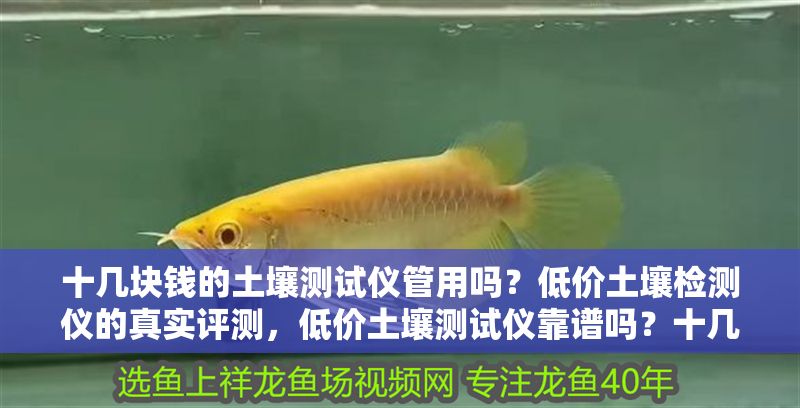 十幾塊錢的土壤測試儀管用嗎？低價土壤檢測儀的真實評測，低價土壤測試儀靠譜嗎？十幾元產品的真實使用評測
