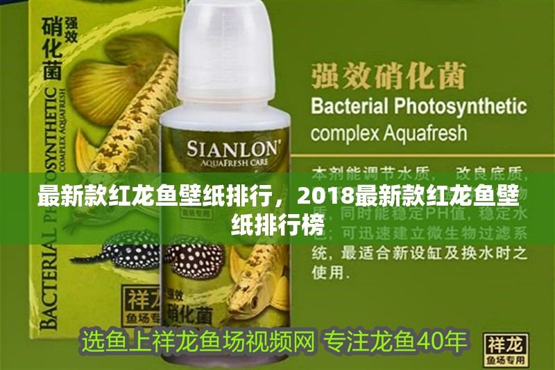 最新款紅龍魚壁紙排行，2018最新款紅龍魚壁紙排行榜