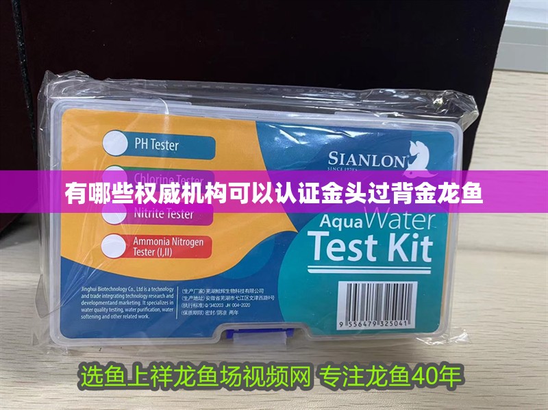 有哪些權威機構可以認證金頭過背金龍魚
