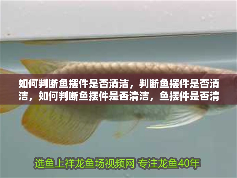 如何判斷魚擺件是否清潔，判斷魚擺件是否清潔，如何判斷魚擺件是否清潔，魚擺件是否清潔