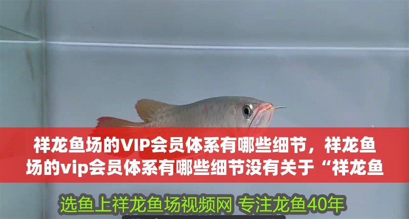 祥龍魚場的VIP會員體系有哪些細節，祥龍魚場的vip會員體系有哪些細節沒有關于“祥龍魚場”的公開信息