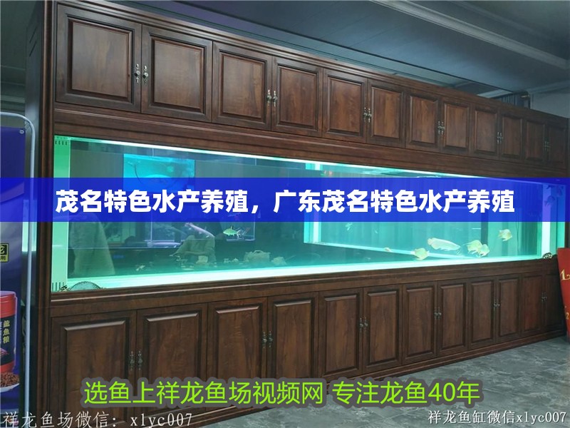 <strong><mark>茂名</mark></strong>特色水產養殖，廣東<strong><mark>茂名</mark></strong>特色水產養殖