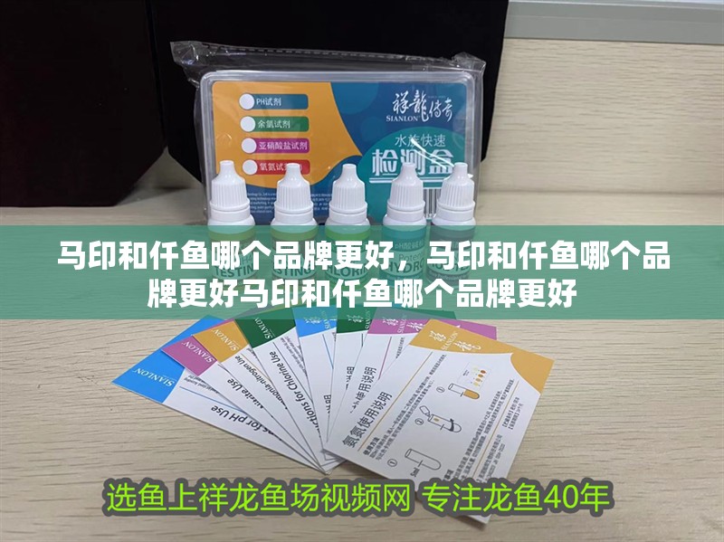 馬印和仟魚哪個品牌更好，馬印和仟魚哪個品牌更好馬印和仟魚哪個品牌更好 馬印和仟魚哪個品牌更好，馬印和仟魚哪個品牌更好馬印和仟魚哪個品牌更好 龍魚百科