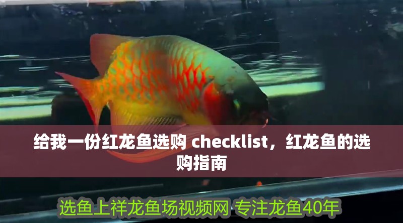 給我一份紅龍魚選購 checklist，紅龍魚的選購指南