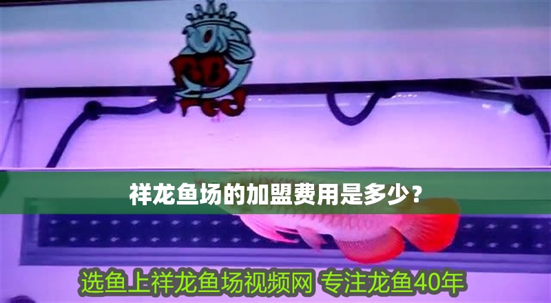 祥龍魚場的加盟費用是多少？