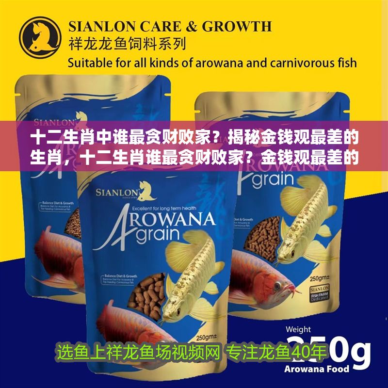 十二生肖中誰最貪財敗家？揭秘金錢觀最差的生肖，十二生肖誰最貪財敗家？金錢觀最差的生肖大揭秘