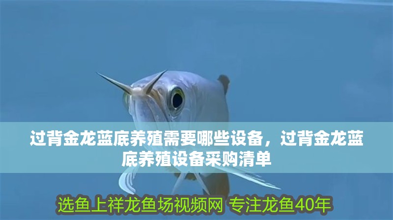 過背金龍藍底養(yǎng)殖需要哪些設備，過背金龍藍底養(yǎng)殖設備采購清單