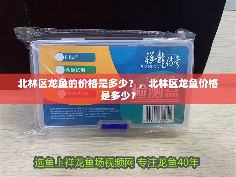 北林區(qū)龍魚的價格是多少？，北林區(qū)龍魚價格是多少？