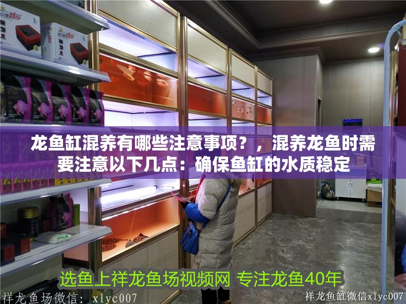 魚缸用增氧泵價格是多少:魚缸增氧機-xtrac增氧機-xtrac增氧機 龍魚缸混養有哪些注意事項?,混養龍魚時需要注意以下幾點:確保魚缸的水質穩定 龍魚百科 龍魚缸混養有哪些注意事項?,混養龍魚時需要注意以下幾點:確保魚缸的水質穩定 龍魚缸混養有哪些注意事項?,混養龍魚時需要注意以下幾點:確保魚缸的水質穩定 龍魚百科