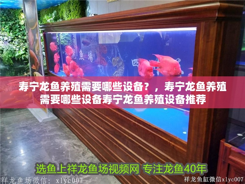 壽寧龍魚養殖需要哪些設備？，壽寧龍魚養殖需要哪些設備壽寧龍魚養殖設備推薦