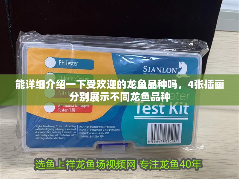 能詳細(xì)介紹一下受歡迎的龍魚品種嗎，4張插畫分別展示不同龍魚品種