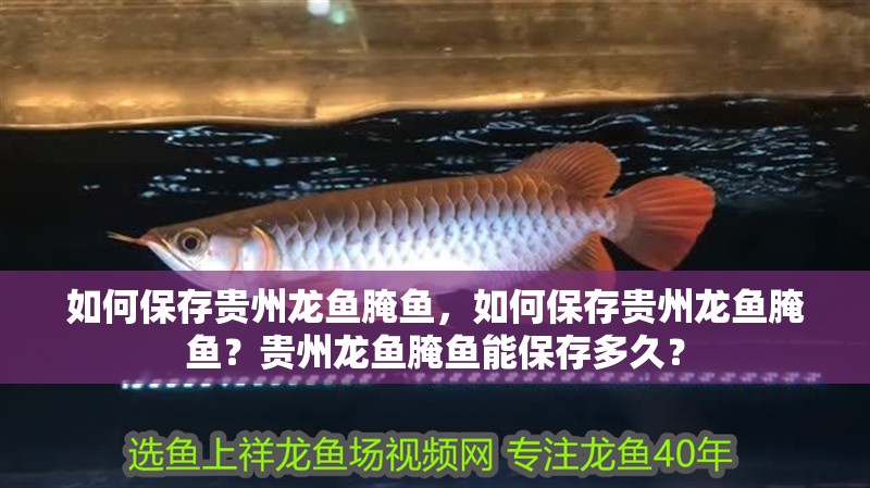 給大魚缸換水的作文:體驗給大魚缸換水的樂趣:體驗給大魚缸換水:給大魚缸換水的作文 如何保存貴州龍魚腌魚,如何保存貴州龍魚腌魚?貴州龍魚腌魚能保存多久? 龍魚百科 如何保存貴州龍魚腌魚,如何保存貴州龍魚腌魚?貴州龍魚腌魚能保存多久? 如何保存貴州龍魚腌魚,如何保存貴州龍魚腌魚?貴州龍魚腌魚能保存多久? 龍魚百科