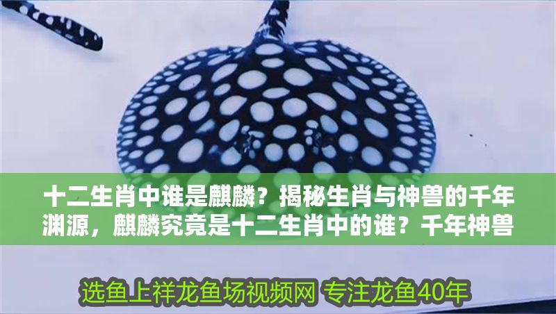 十二生肖中誰是麒麟？揭秘生肖與神獸的千年淵源，麒麟究竟是十二生肖中的誰？千年神獸與生肖之謎大揭秘