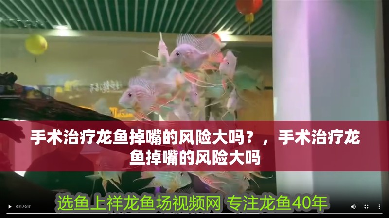 手術(shù)治療龍魚掉嘴的風(fēng)險(xiǎn)大嗎？，手術(shù)治療龍魚掉嘴的風(fēng)險(xiǎn)大嗎