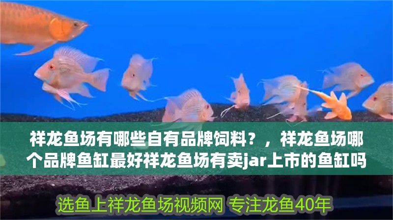 祥龍魚場有哪些自有品牌飼料？，祥龍魚場哪個品牌魚缸最好祥龍魚場有賣jar上市的魚缸嗎