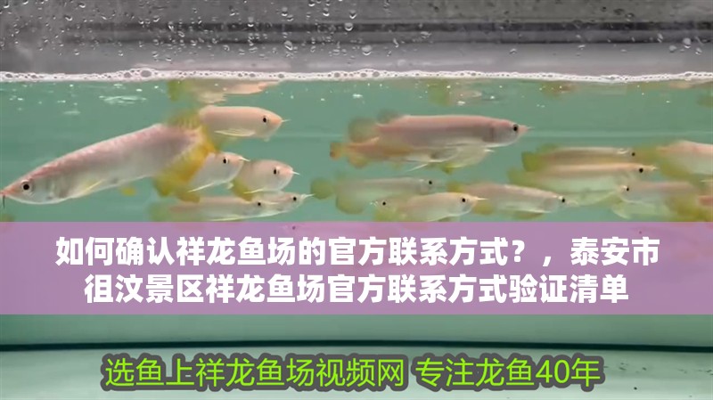 如何確認(rèn)祥龍魚場的官方聯(lián)系方式？，泰安市徂汶景區(qū)祥龍魚場官方聯(lián)系方式驗(yàn)證清單