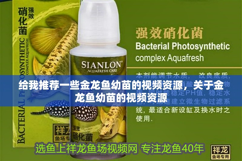 給我推薦一些金龍魚(yú)幼苗的視頻資源，關(guān)于金龍魚(yú)幼苗的視頻資源 給我推薦一些金龍魚(yú)幼苗的視頻資源，關(guān)于金龍魚(yú)幼苗的視頻資源 龍魚(yú)百科