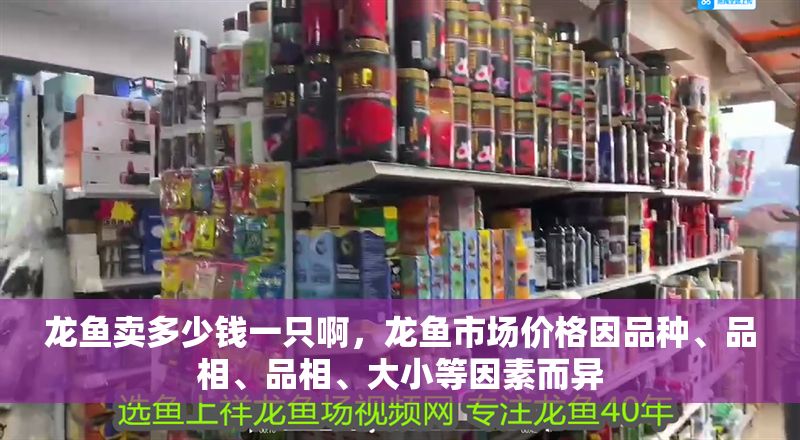 龍魚賣多少錢一只啊，龍魚市場價格因品種、品相、品相、大小等因素而異