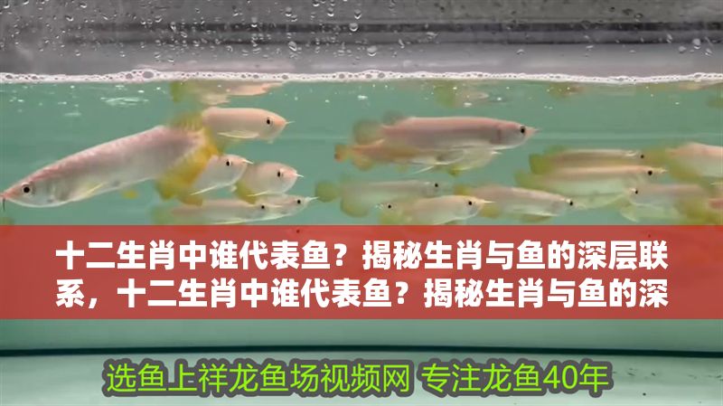 十二生肖中誰代表魚？揭秘生肖與魚的深層聯系，十二生肖中誰代表魚？揭秘生肖與魚的深層聯系