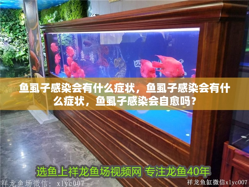 魚虱子感染會有什么癥狀，魚虱子感染會有什么癥狀，魚虱子感染會自愈嗎？