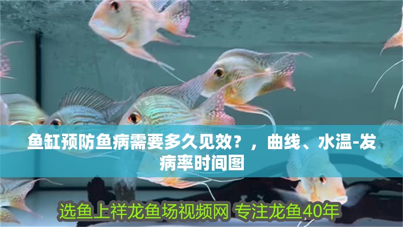 魚缸預(yù)防魚病需要多久見效？，曲線、水溫-發(fā)病率時間圖