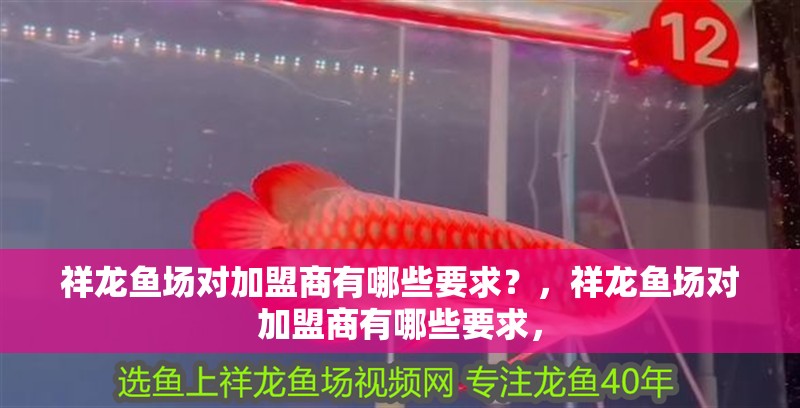 祥龍魚場對加盟商有哪些要求？，祥龍魚場對加盟商有哪些要求，