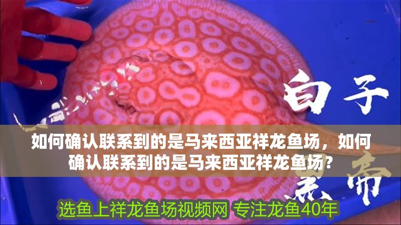 如何確認聯系到的是馬來西亞祥龍魚場，如何確認聯系到的是馬來西亞祥龍魚場？