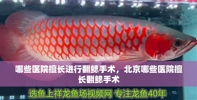 哪些醫院擅長進行翻鰓手術，北京哪些醫院擅長翻鰓手術