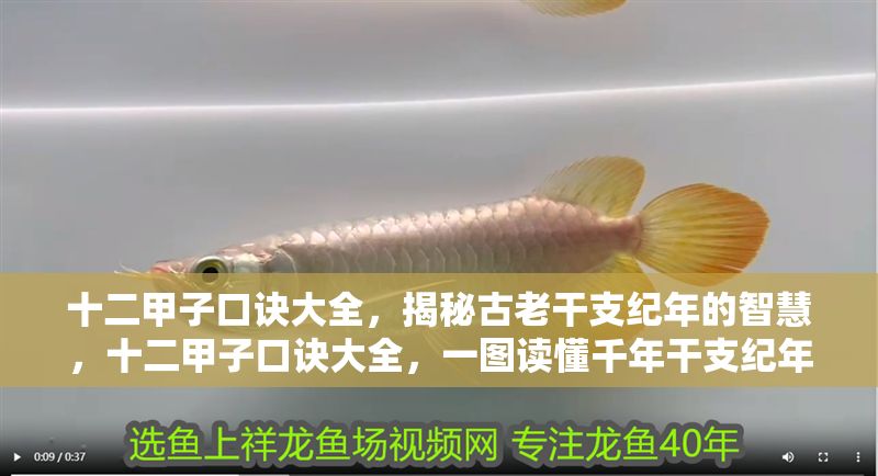 十二甲子口訣大全，揭秘古老干支紀年的智慧，十二甲子口訣大全，一圖讀懂千年干支紀年智慧