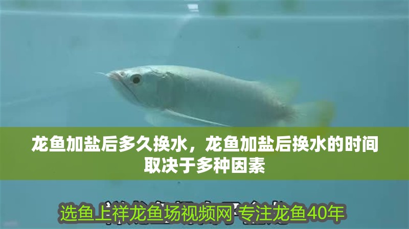 龍魚加鹽后多久換水，龍魚加鹽后換水的時(shí)間取決于多種因素