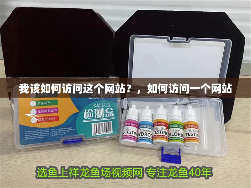 我該如何訪問(wèn)這個(gè)網(wǎng)站？，如何訪問(wèn)一個(gè)網(wǎng)站