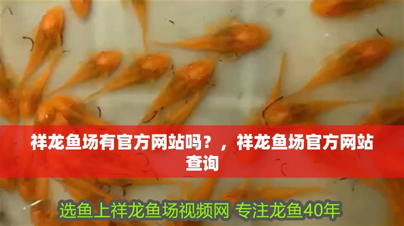 祥龍魚場有官方網站嗎？，祥龍魚場官方網站查詢