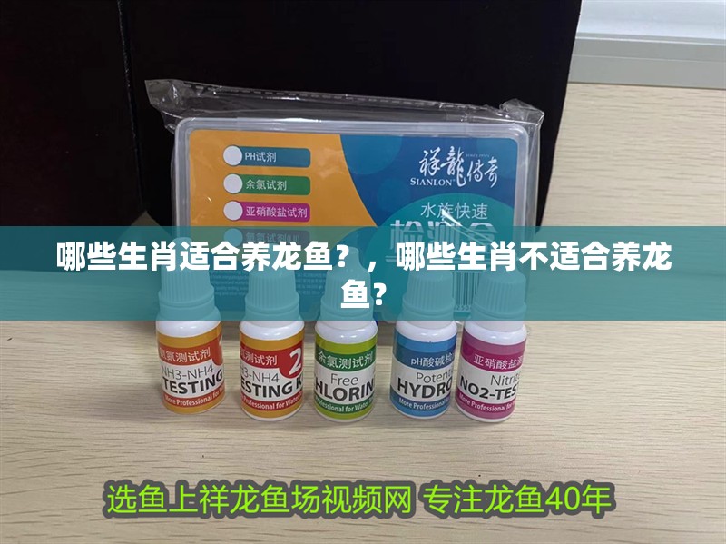 哪些生肖適合養(yǎng)龍魚？，哪些生肖不適合養(yǎng)龍魚？