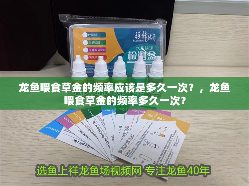 龍魚喂食草金的頻率應該是多久一次？，龍魚喂食草金的頻率多久一次？ 龍魚喂食草金的頻率應該是多久一次？，龍魚喂食草金的頻率多久一次？ 龍魚百科