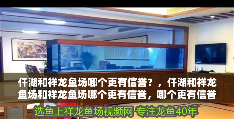仟湖和祥龍魚場哪個更有信譽？，仟湖和祥龍魚場和祥龍魚場哪個更有信譽，哪個更有信譽 仟湖和祥龍魚場哪個更有信譽？，仟湖和祥龍魚場和祥龍魚場哪個更有信譽，哪個更有信譽 龍魚百科
