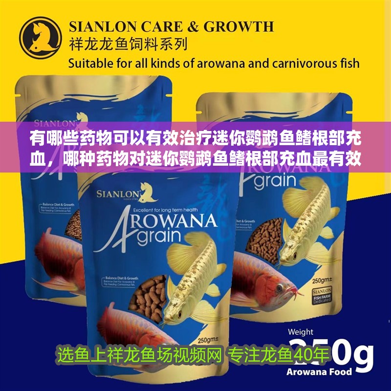 有哪些藥物可以有效治療迷你鸚鵡魚鰭根部充血，哪種藥物對迷你鸚鵡魚鰭根部充血最有效