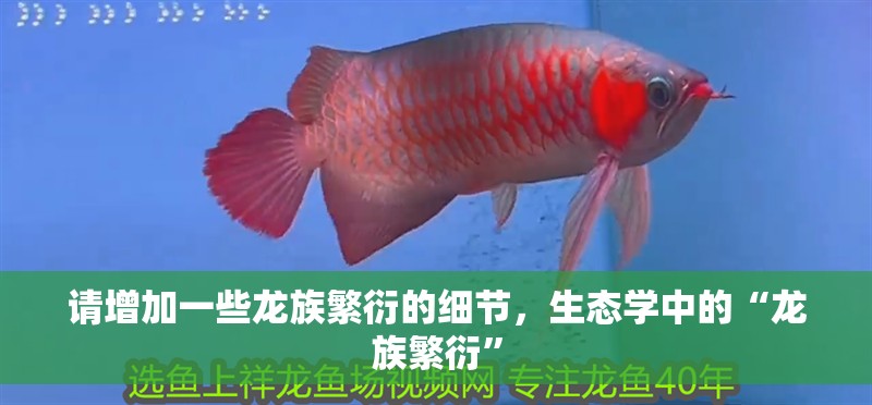 請增加一些龍族繁衍的細節(jié)，生態(tài)學中的“龍族繁衍”