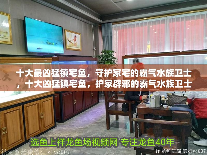 十大最兇猛鎮宅魚，守護家宅的霸氣水族衛士，十大兇猛鎮宅魚，護家辟邪的霸氣水族衛士